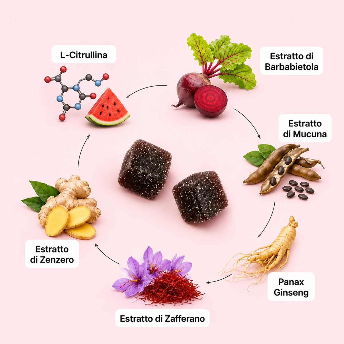 Spicy Cubes Rosalya